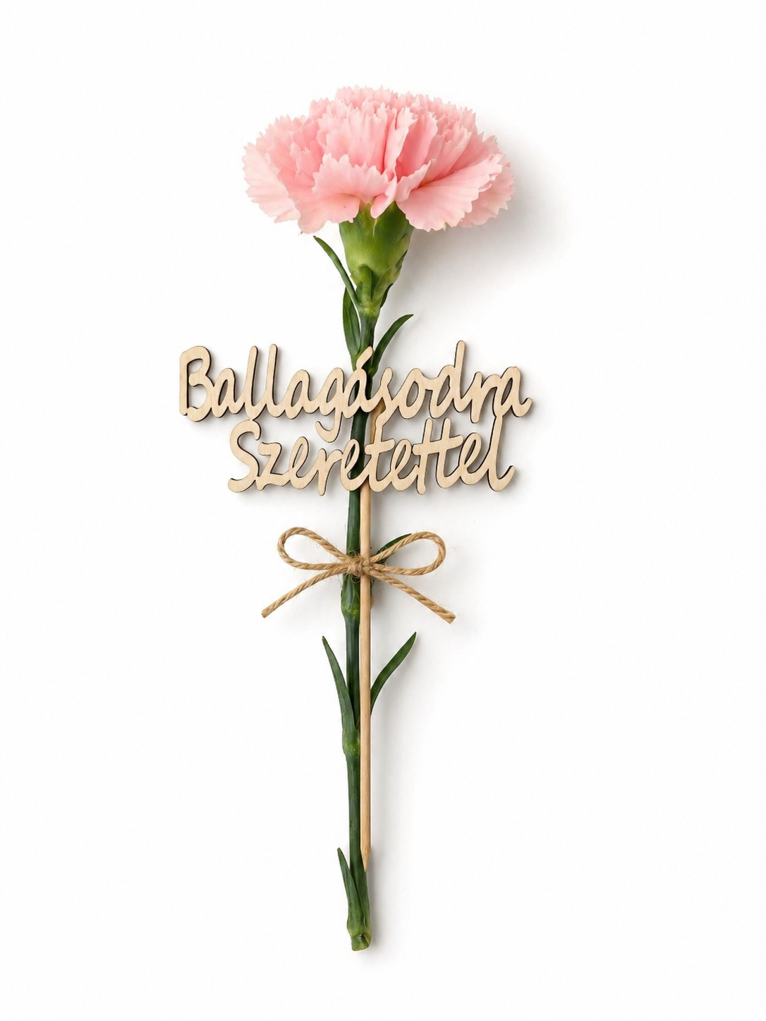 Drevený výrez – Ballagásodra szeretettel (13×6 cm)