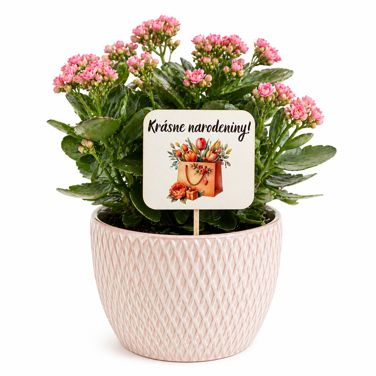 Drevená tabuľka „Krásne narodeniny!“ – dekorácia na dotvorenie (7×6 cm)